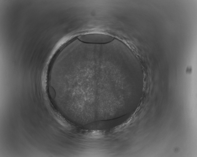 X0000116780056201001141520