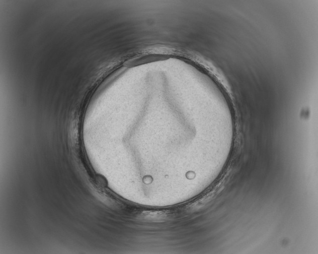 X0000116780057201001141520