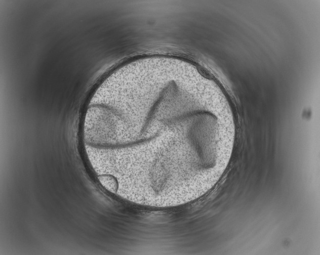 X0000116780058201001141520