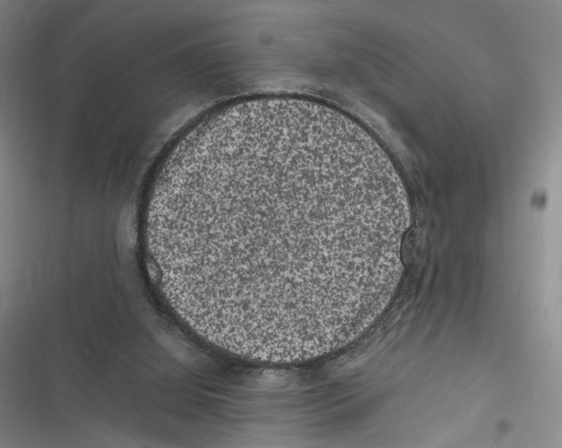 X0000116780060201001141520