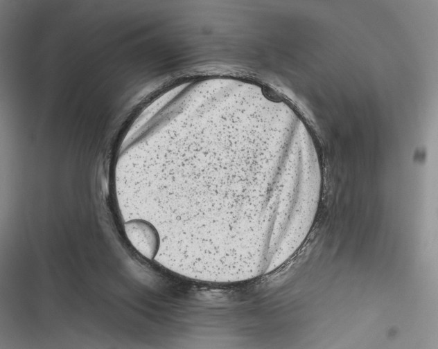 X0000116780062201001141520