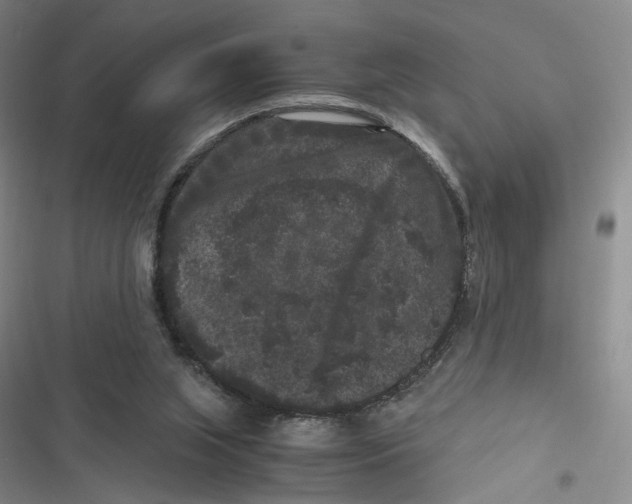 X0000116780063201001141520