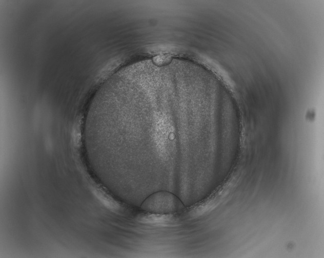 X0000116780065201001141520