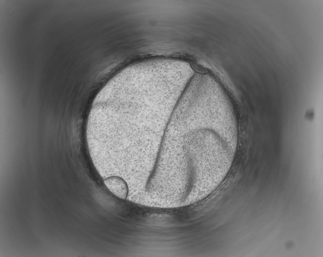 X0000116780066201001141520