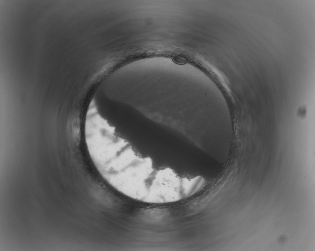 X0000116780067201001141520