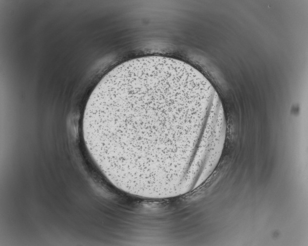 X0000116780070201001141520