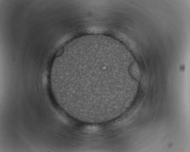 X0000116780071201001141520