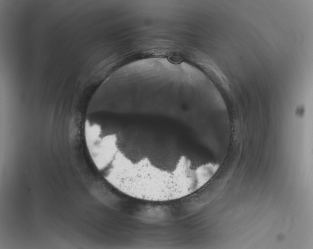 X0000116780073201001141520