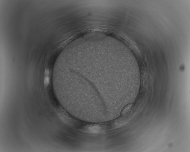 X0000116780075201001141520