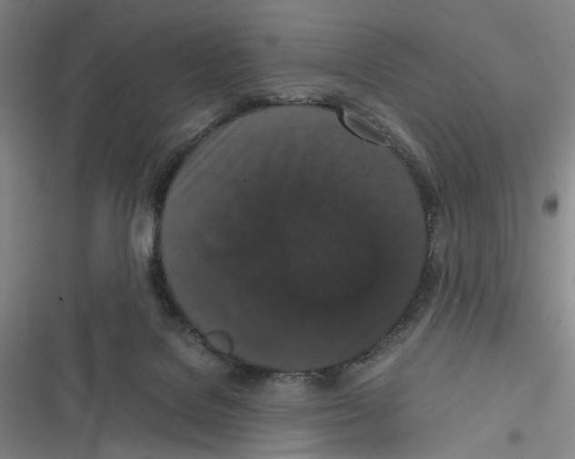 X0000116780076201001141520