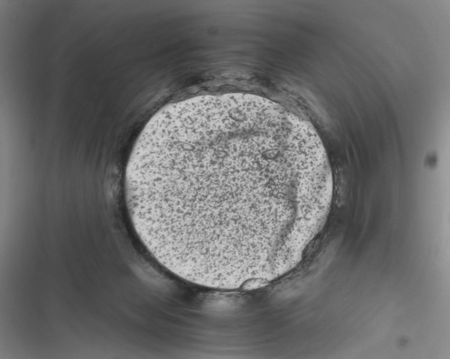 X0000116780077201001141520