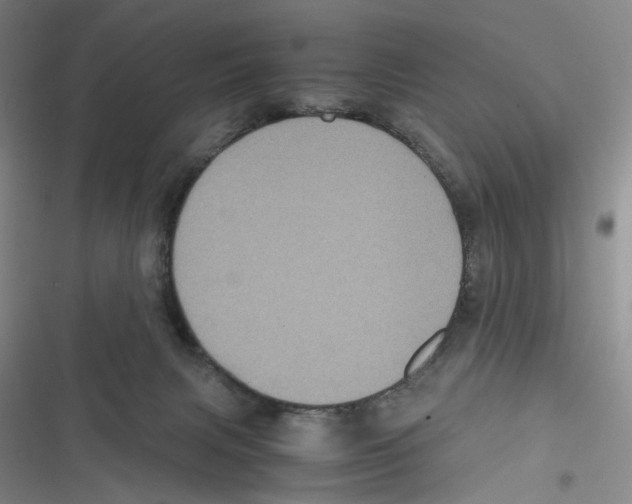 X0000116780079201001141520