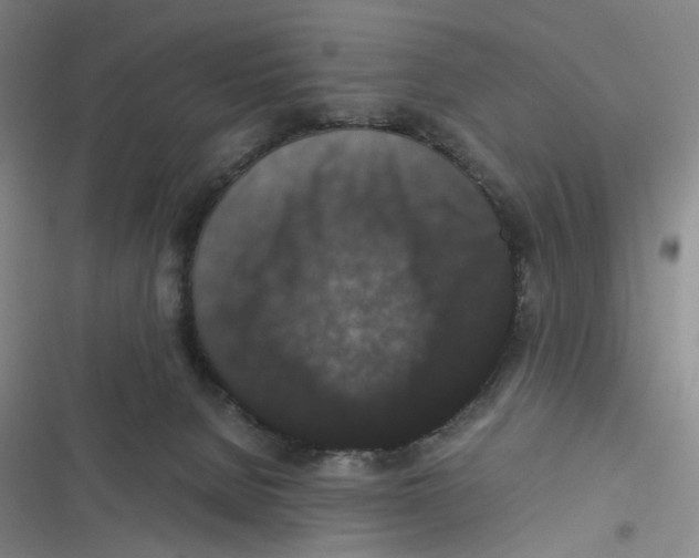 X0000116780080201001141520