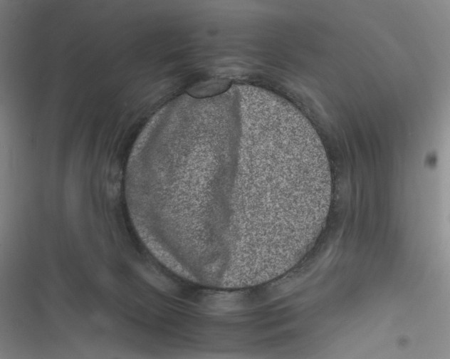 X0000116780081201001141520