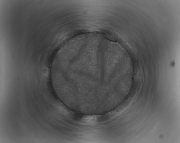 X0000116780084201001141520