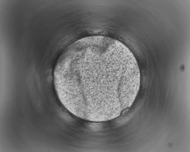 X0000116780085201001141520