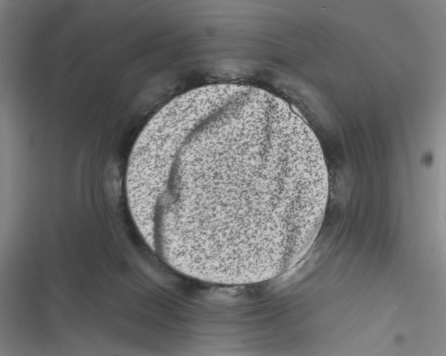 X0000116780086201001141520