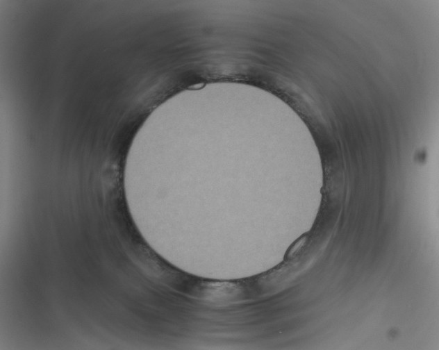 X0000116780087201001141520