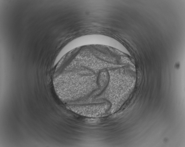 X0000116780088201001141520