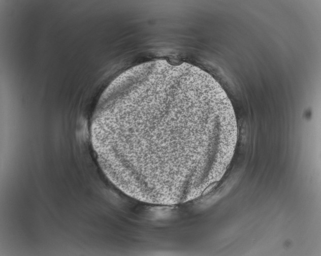 X0000116780089201001141520