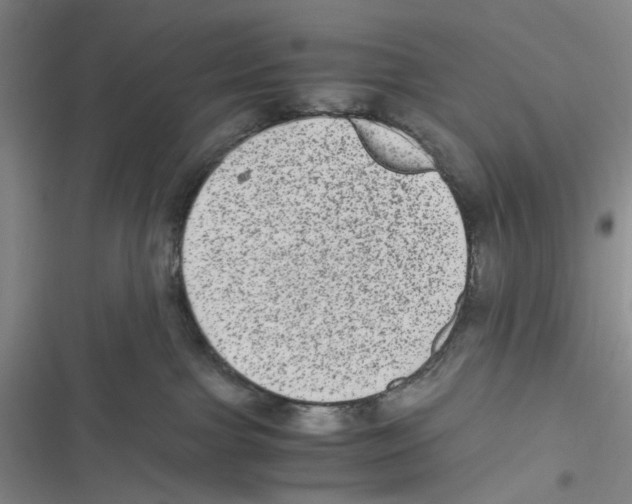 X0000116780091201001141520