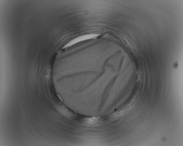 X0000116780092201001141520