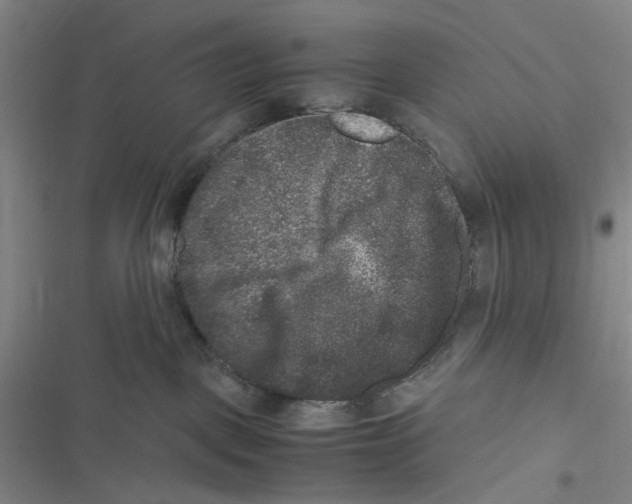 X0000116780093201001141521