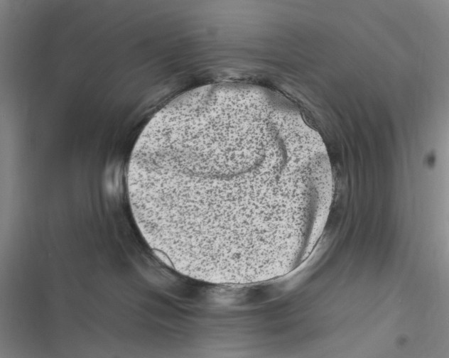 X0000116780094201001141521