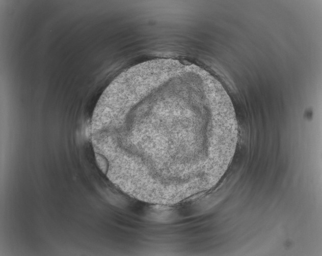 X0000116780095201001141521