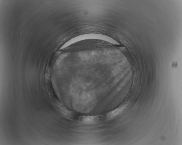 X0000116780096201001141521