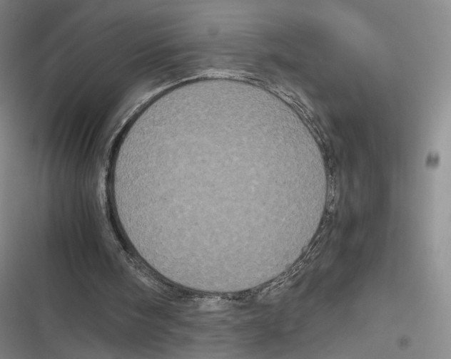 X0000116780098201001141520