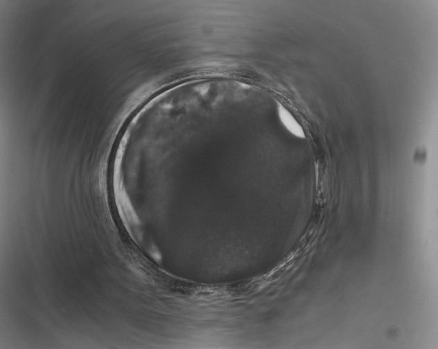 X0000116780099201001141520