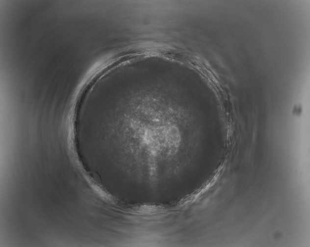 X0000116780101201001141520