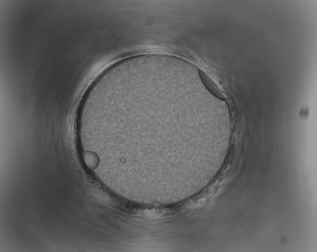 X0000116780103201001141520