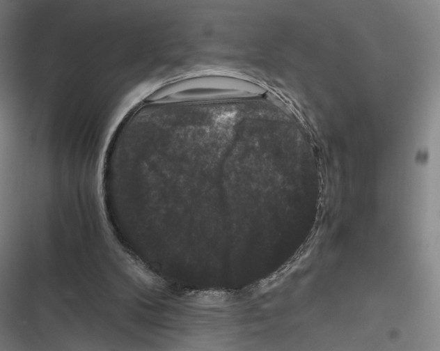 X0000116780104201001141520