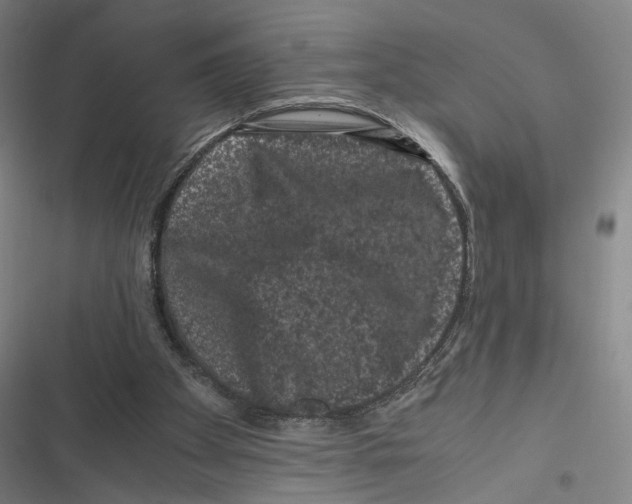 X0000116780105201001141520