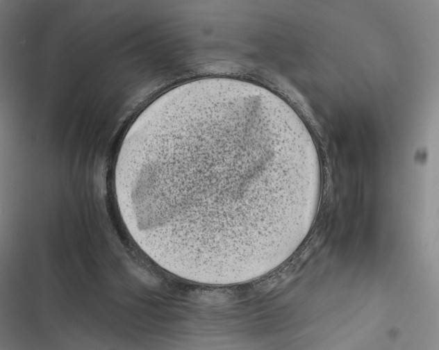 X0000116780106201001141520