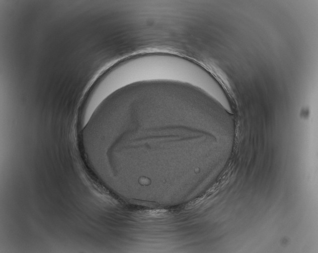 X0000116780108201001141520