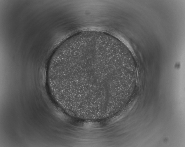 X0000116780109201001141520