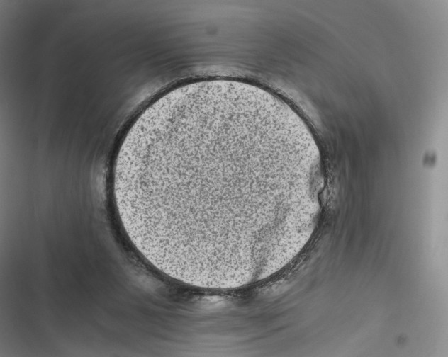 X0000116780111201001141520