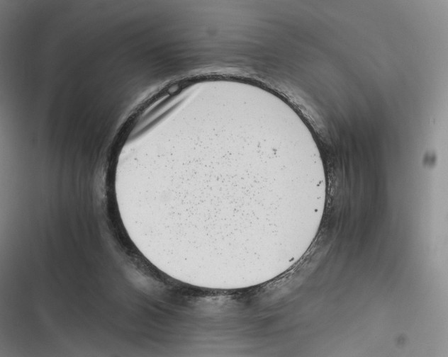 X0000116780112201001141520