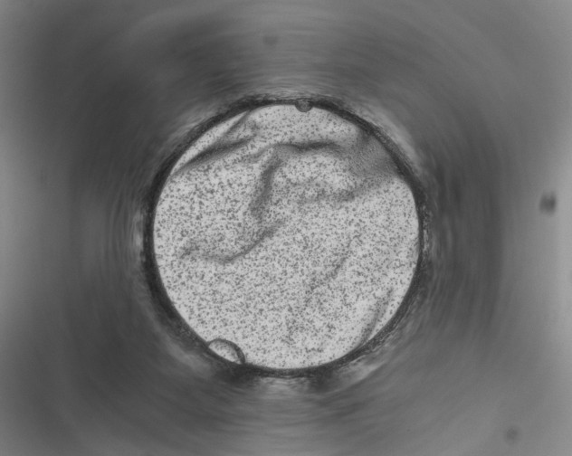 X0000116780115201001141520