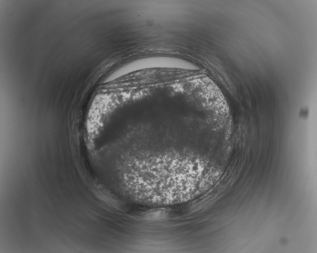 X0000116780116201001141520