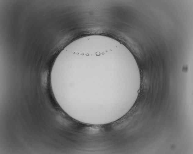 X0000116780118201001141520