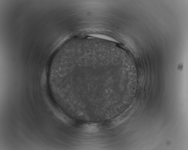 X0000116780120201001141520