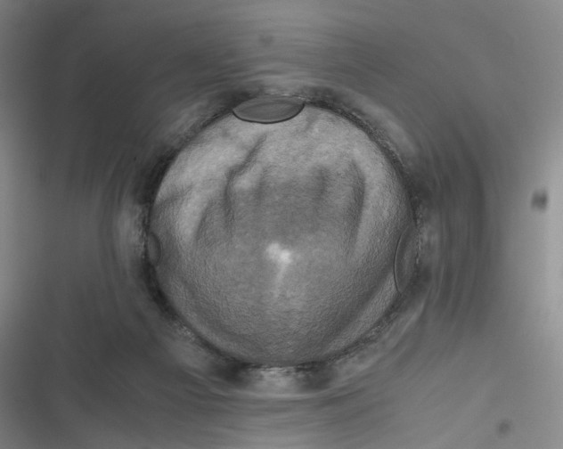 X0000116780121201001141520