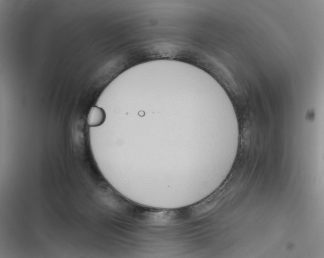 X0000116780122201001141520