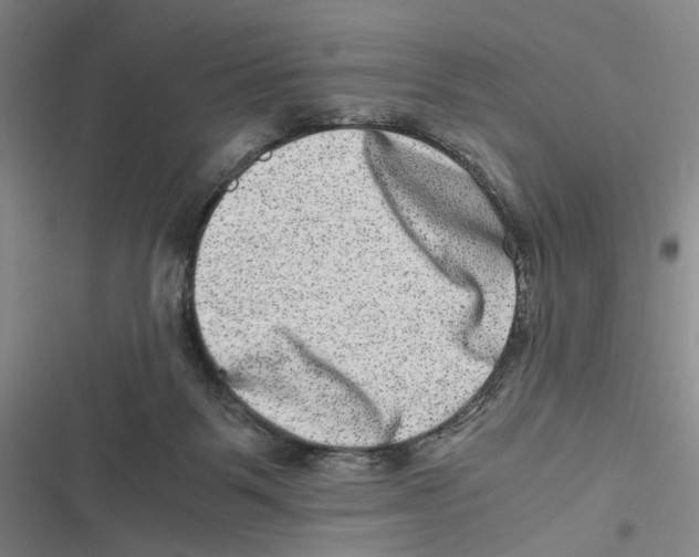 X0000116780123201001141520