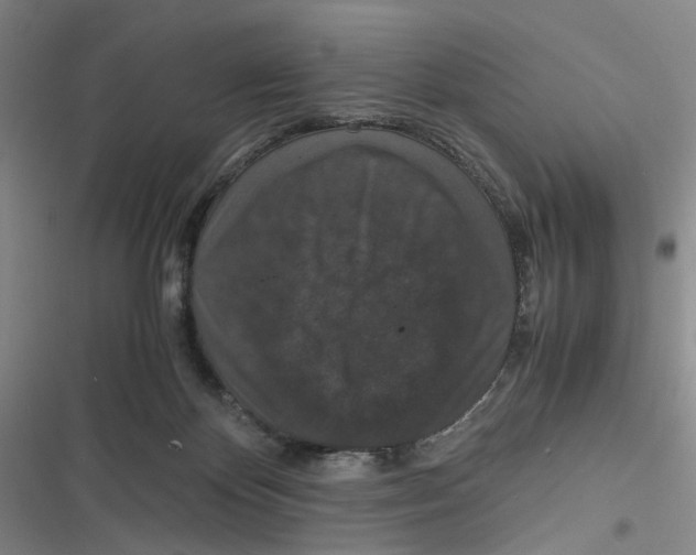 X0000116780124201001141520