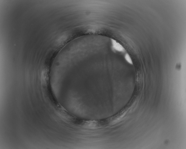 X0000116780127201001141519